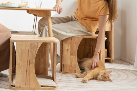 JUNO Pet Stool JUNO Pet Stool