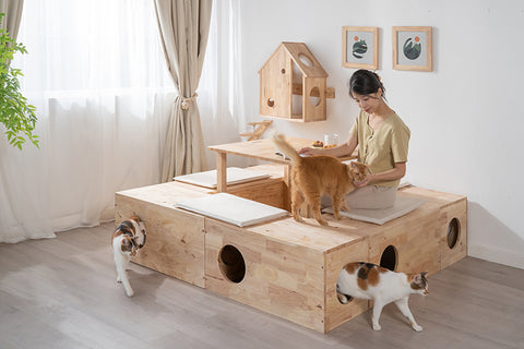 JUNO Tatami: Kitty Box JUNO Tatami: Kitty Box