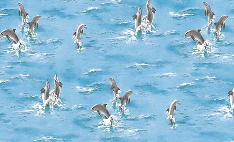 Dolphin Wallpaper (The One 6836-1J) Dolphin Wallpaper (The One 6836-1J)