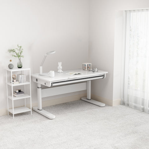 FLEK Medium/Large Ergo Study Desk with Optional Unit (D01S/L22S) FLEK Medium/Large Ergo Study Desk with Optional Unit (D01S/L22S)