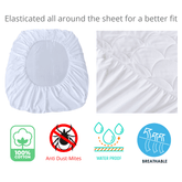 iSleep Beddy Premium Quality Quilted Waterproof Mattress Protector - Kids Haven