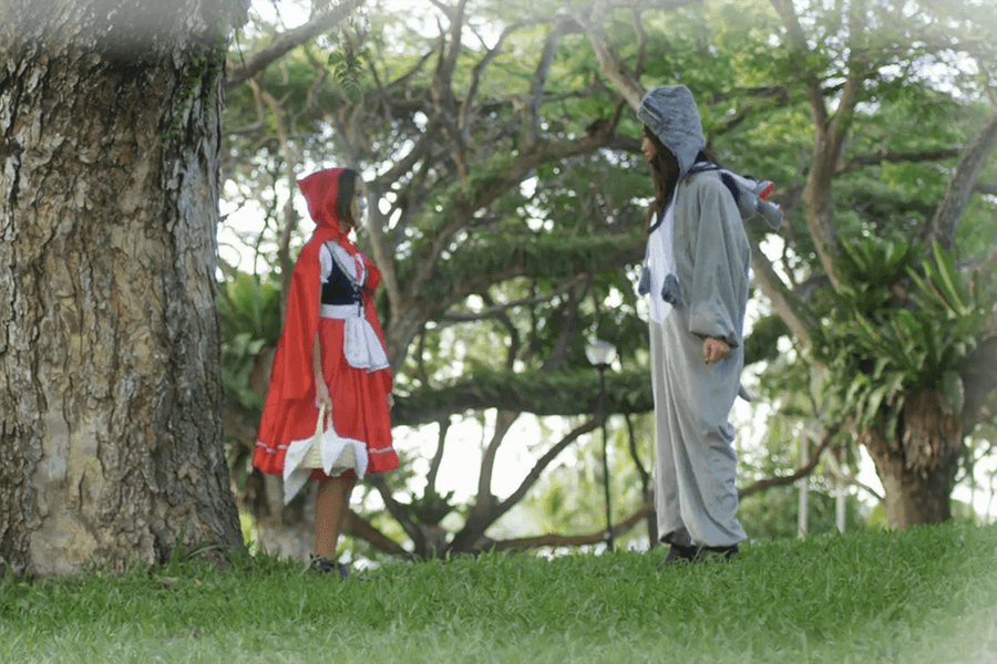 Tales of the Forest - Kids Haven