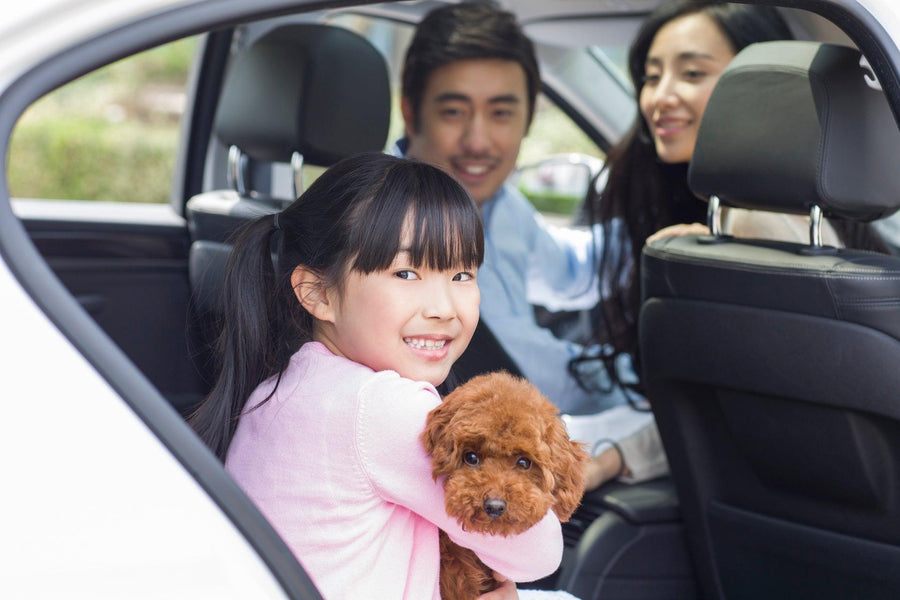Activities for Kids this June School Holiday! - Kids Haven