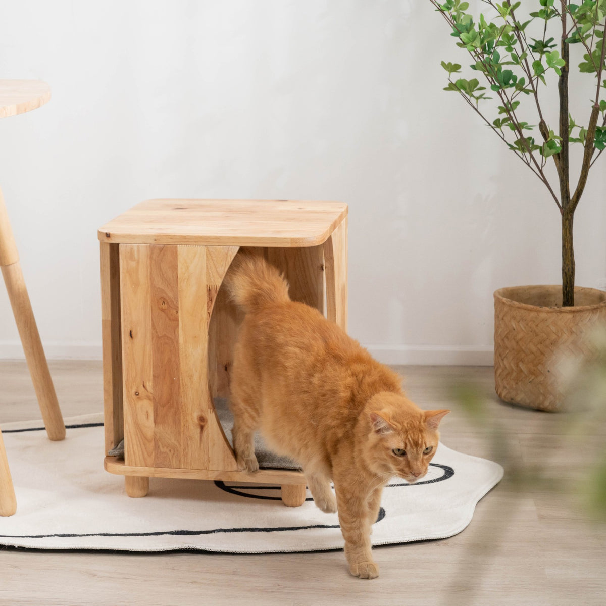 JUNO Pet Stool