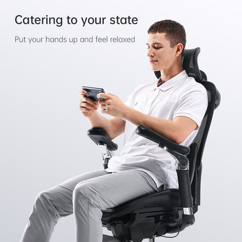 FLEK Ergonomic Office Chair C300