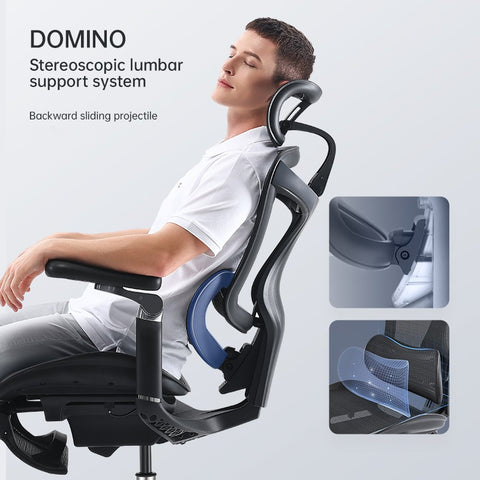 FLEK Ergonomic Office Chair C300