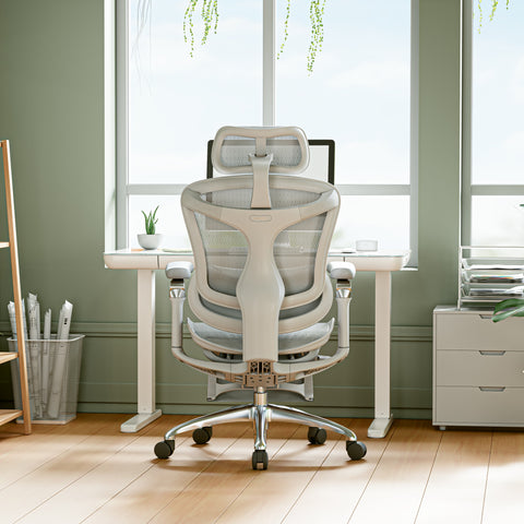 FLEK Ergonomic Office Chair C300