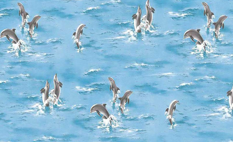 Dolphin Wallpaper (The One 6836-1J)