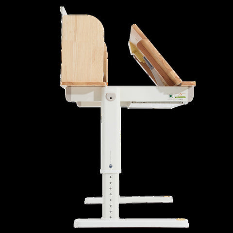 FLEK Medium/Large Ergo Study Desk Bundle (JQ4.3)