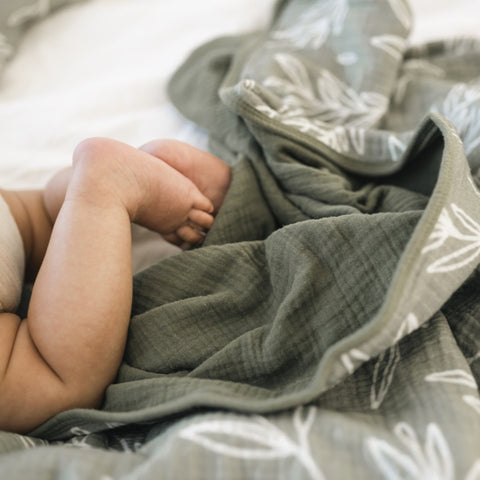 lullypop Blanket in Sage Leaves (Multiple Sizes)
