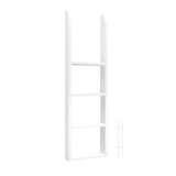Maxtrix Ladder Only (Various Heights) - Kids Haven